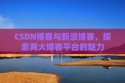 CSDN博客与新浪博客,探索两大博客平台的魅力